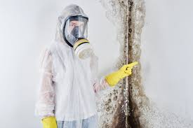 Best Industrial Mold Remediation  in Nedrow, NY